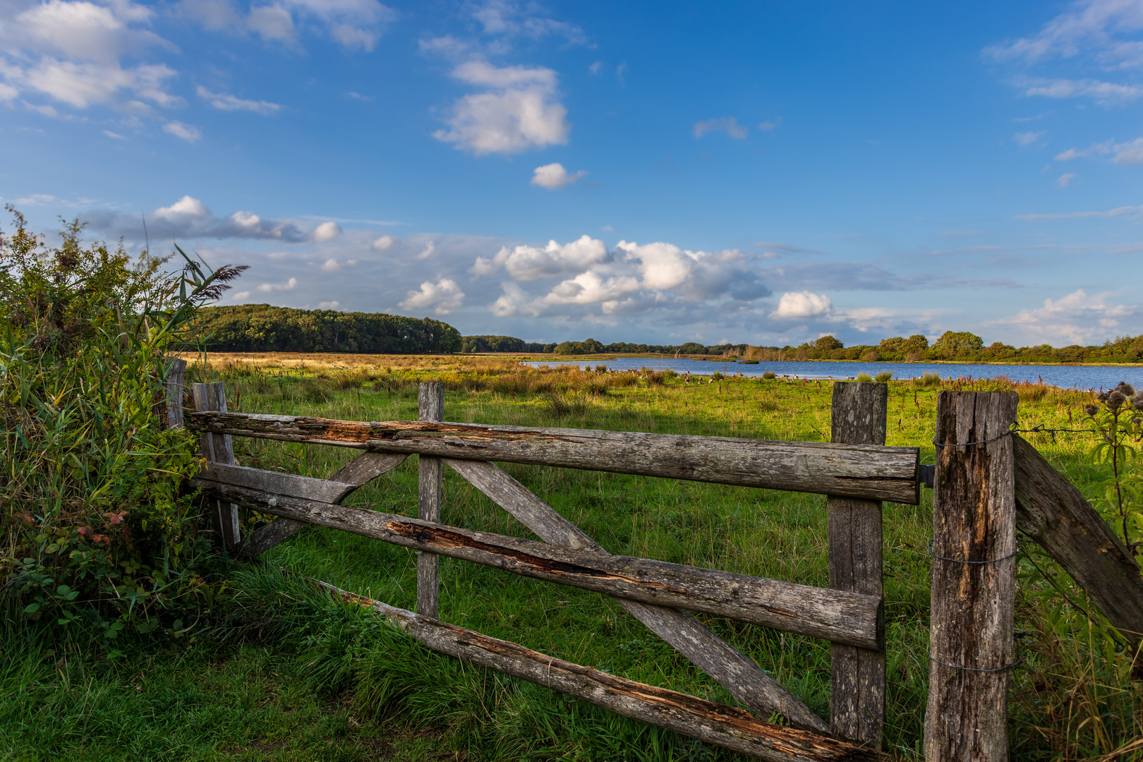 Blick über den Zaun Foto & Bild deutschland, europe, schleswig
