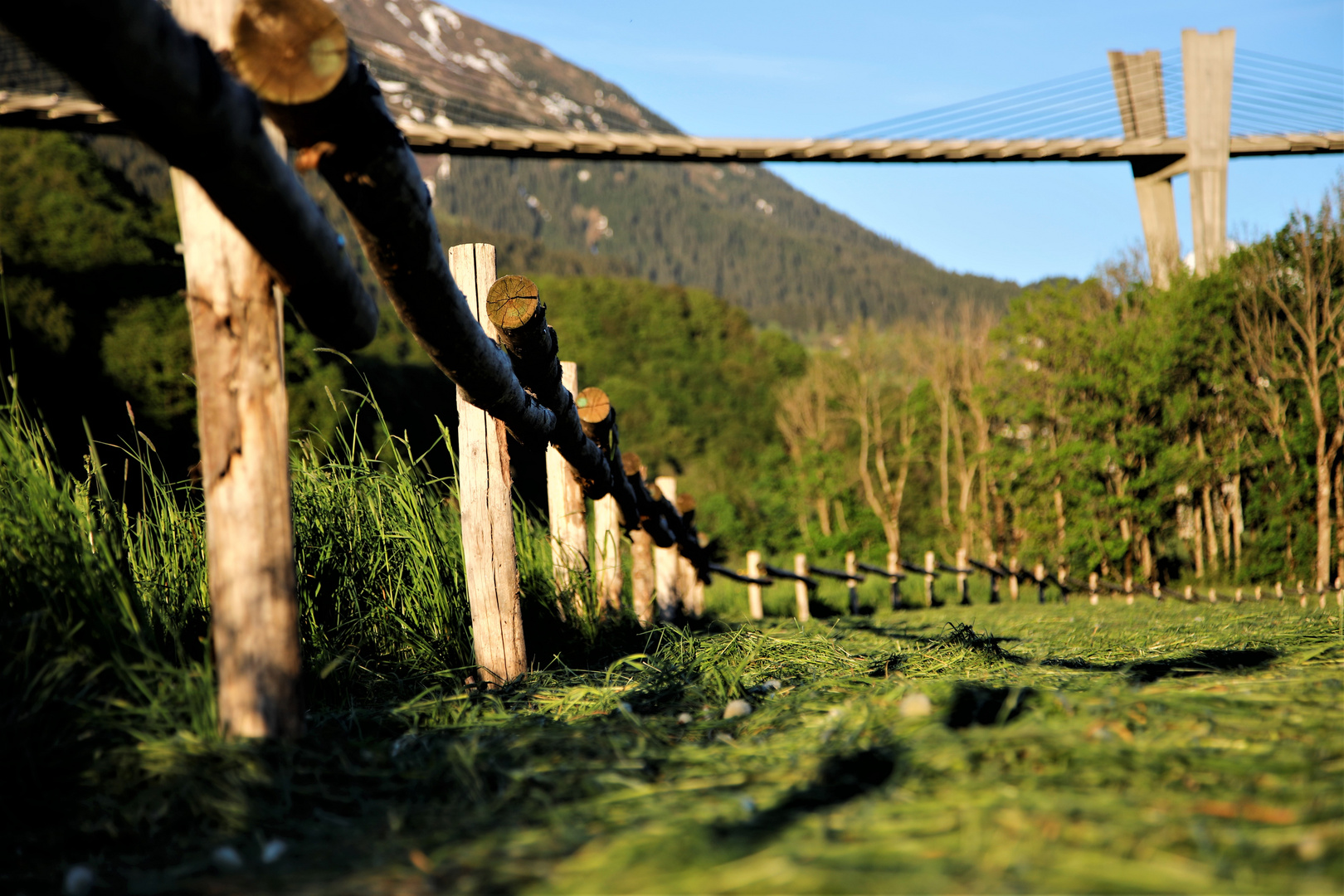 Blick über den Zaun