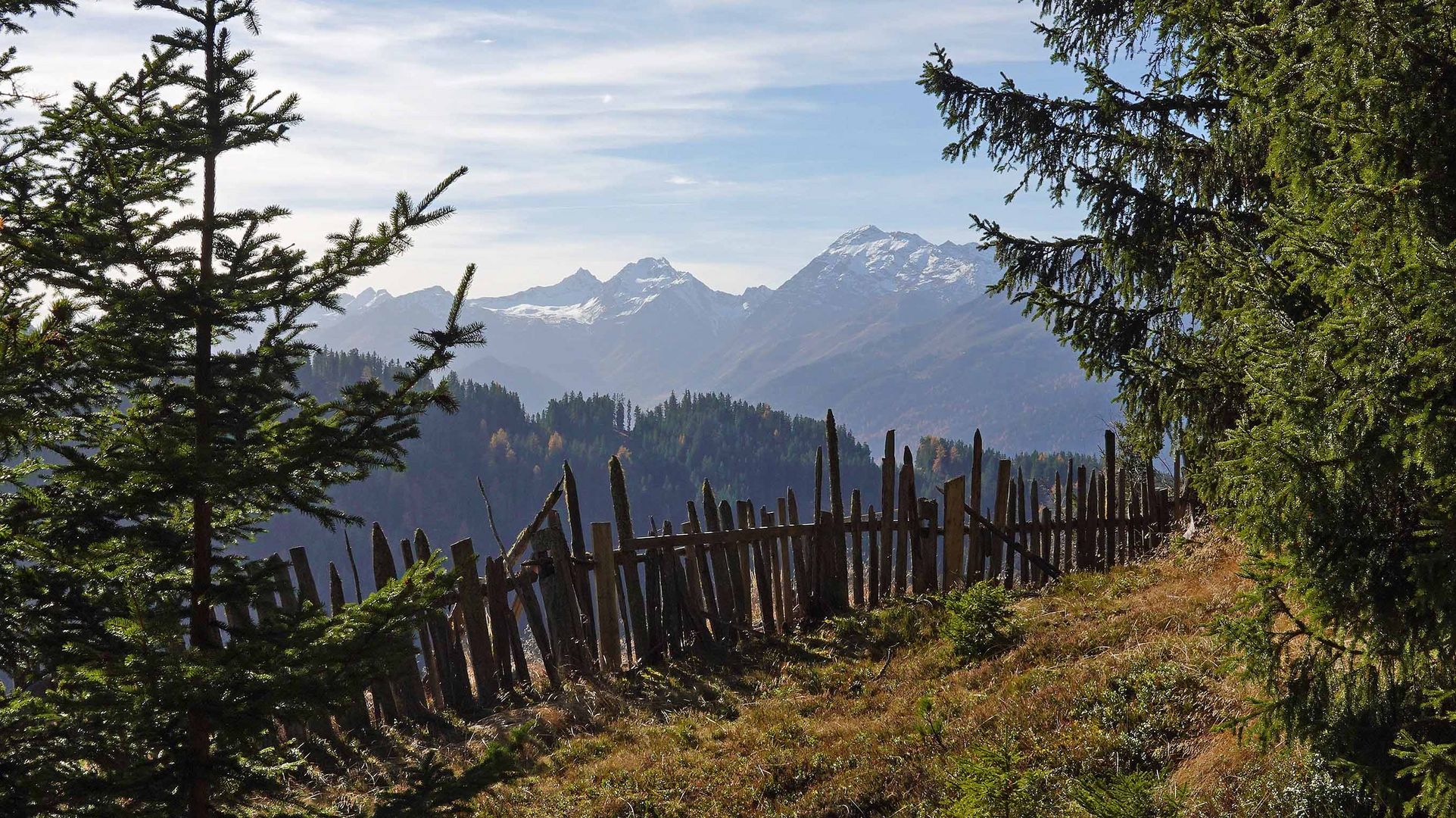 Blick über den Zaun