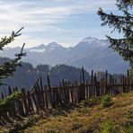 Blick über den Zaun