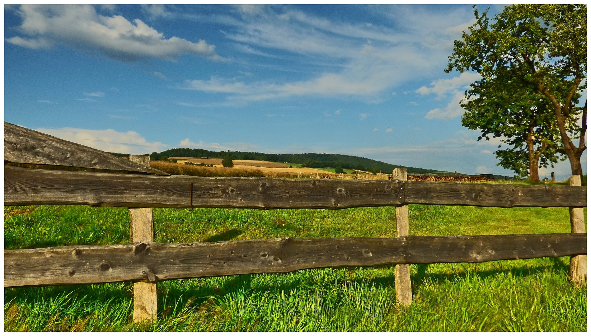 Blick über den Zaun Foto & Bild natur, landschaft, felder und wiesen