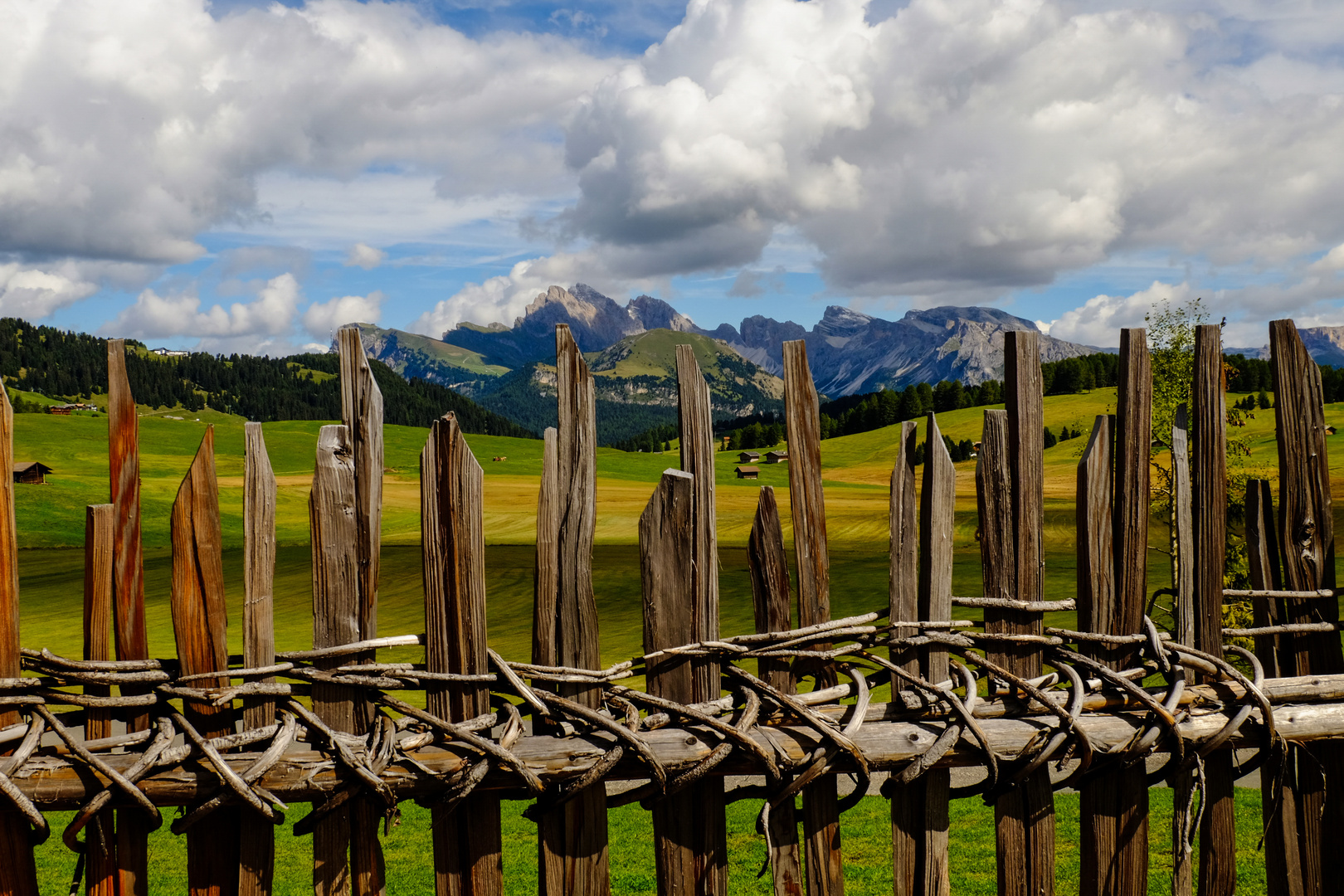 Blick über den Zaun