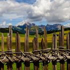 Blick über den Zaun