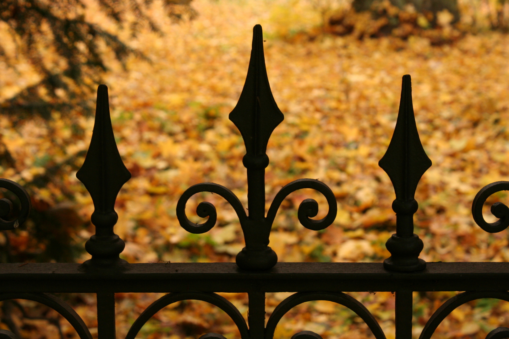 Blick über den Zaun Foto & Bild jahreszeiten, herbst, stillleben