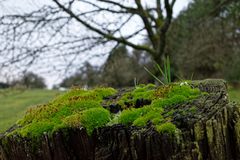 Blick über den Zaunpfahl