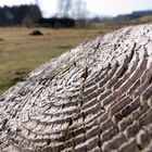 Blick über den Zaunpfahl