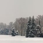 Blick über den (zugefrorenen) See (2)