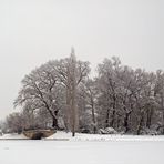 Blick über den (zugefrorenen) See