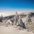 Blick über der Nebelgrenze ...