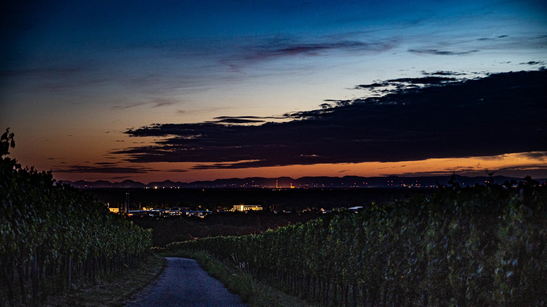 Blick über der Rheinebene zur Blaue Stunde 