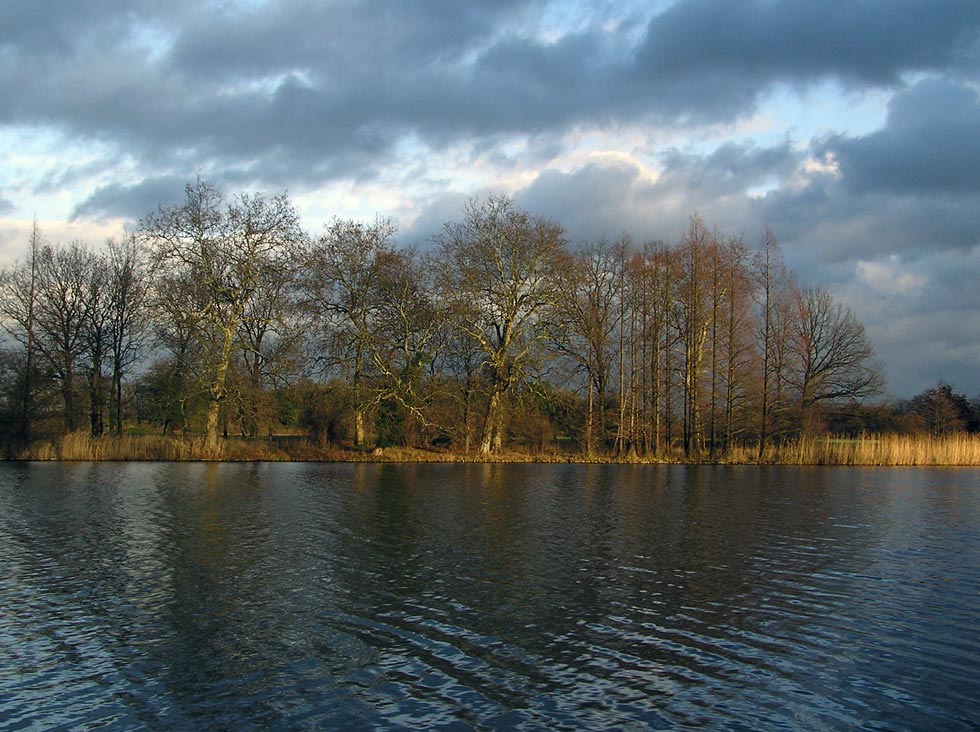 Blick über der Wörlitzer See