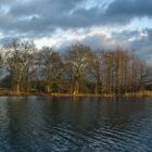 Blick über der Wörlitzer See