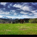 Blick über die A8