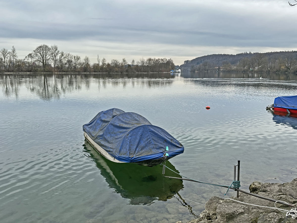 Blick über die Aare