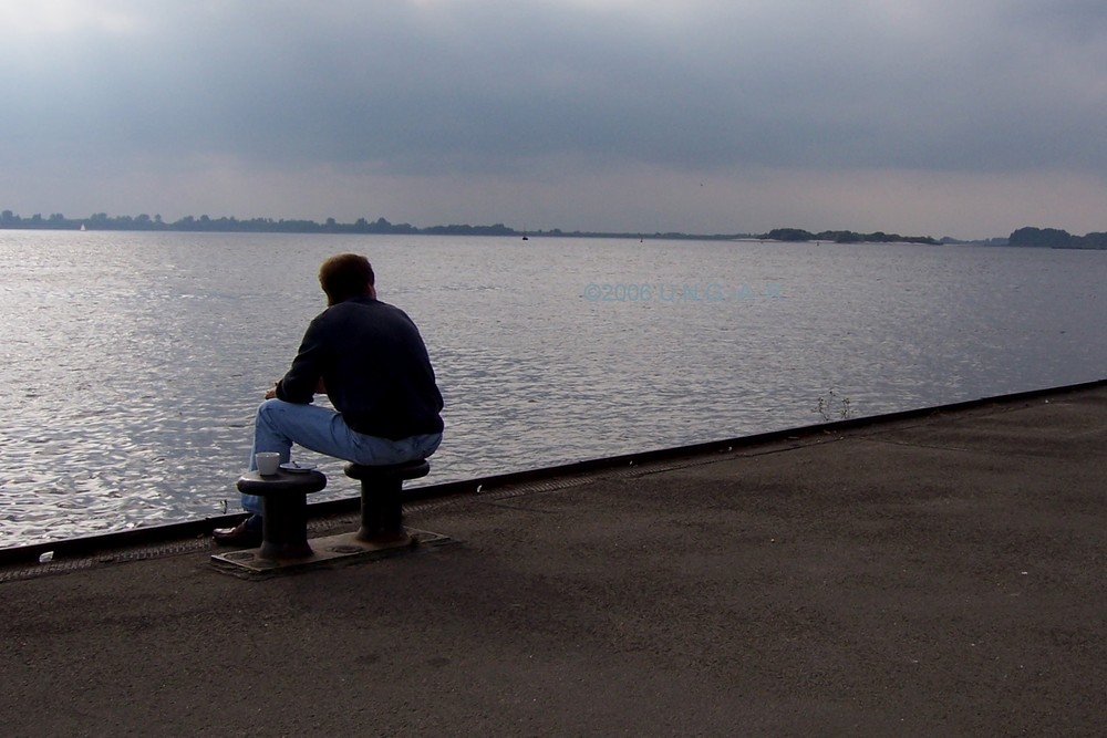 Blick über die abendliche Elbe