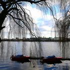 Blick über die Alster