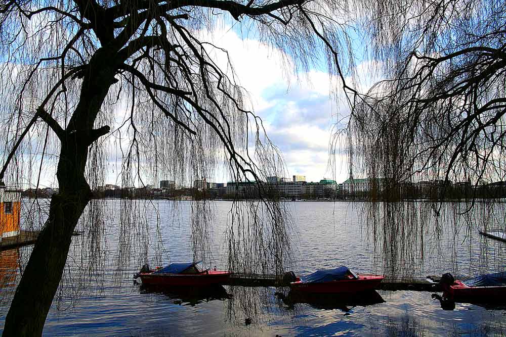 Blick über die Alster