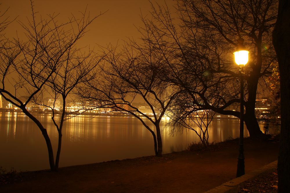 Blick über die Alster bei Nebel 2