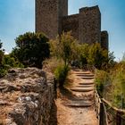 Blick über die alte Stadtmauer zur Burg