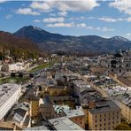 Blick über die Altstadt