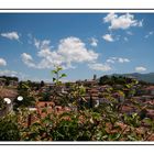 Blick über die Altstadt von Ohrid