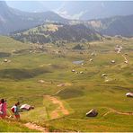 Blick über die Aschgler Alm