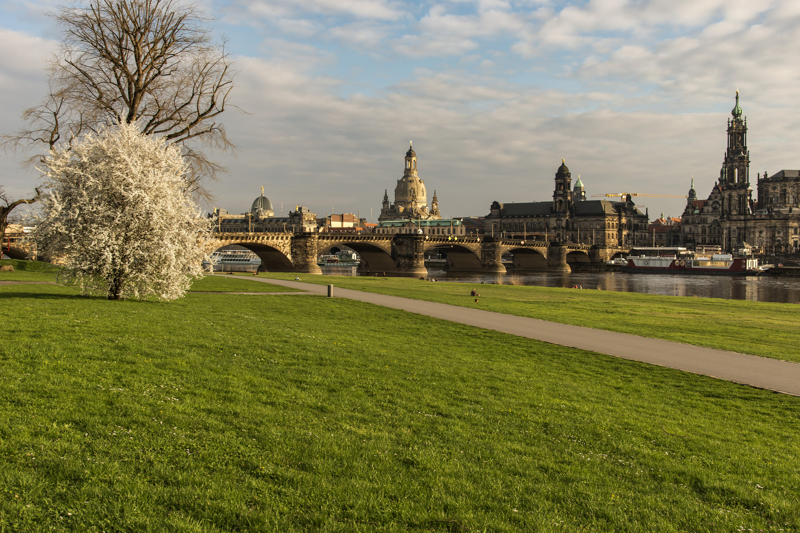 Blick über die Augustusbrücke 