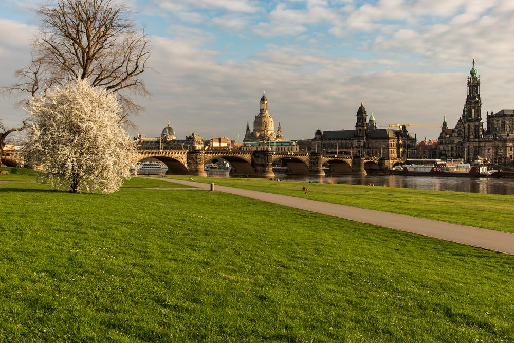 Blick über die Augustusbrücke 