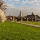 Blick über die Augustusbrücke 