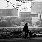 Blick über die Aussenalster