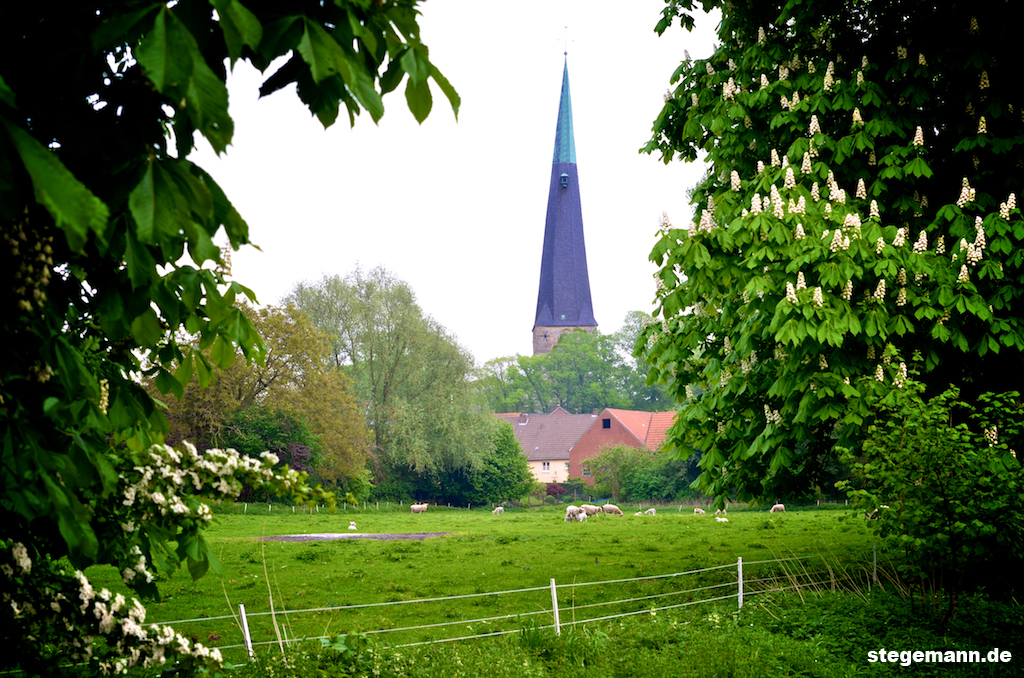 Blick über die Berkel und Weide auf die Stadt Billerbeck.