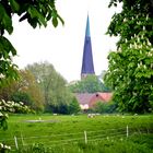 Blick über die Berkel und Weide auf die Stadt Billerbeck.