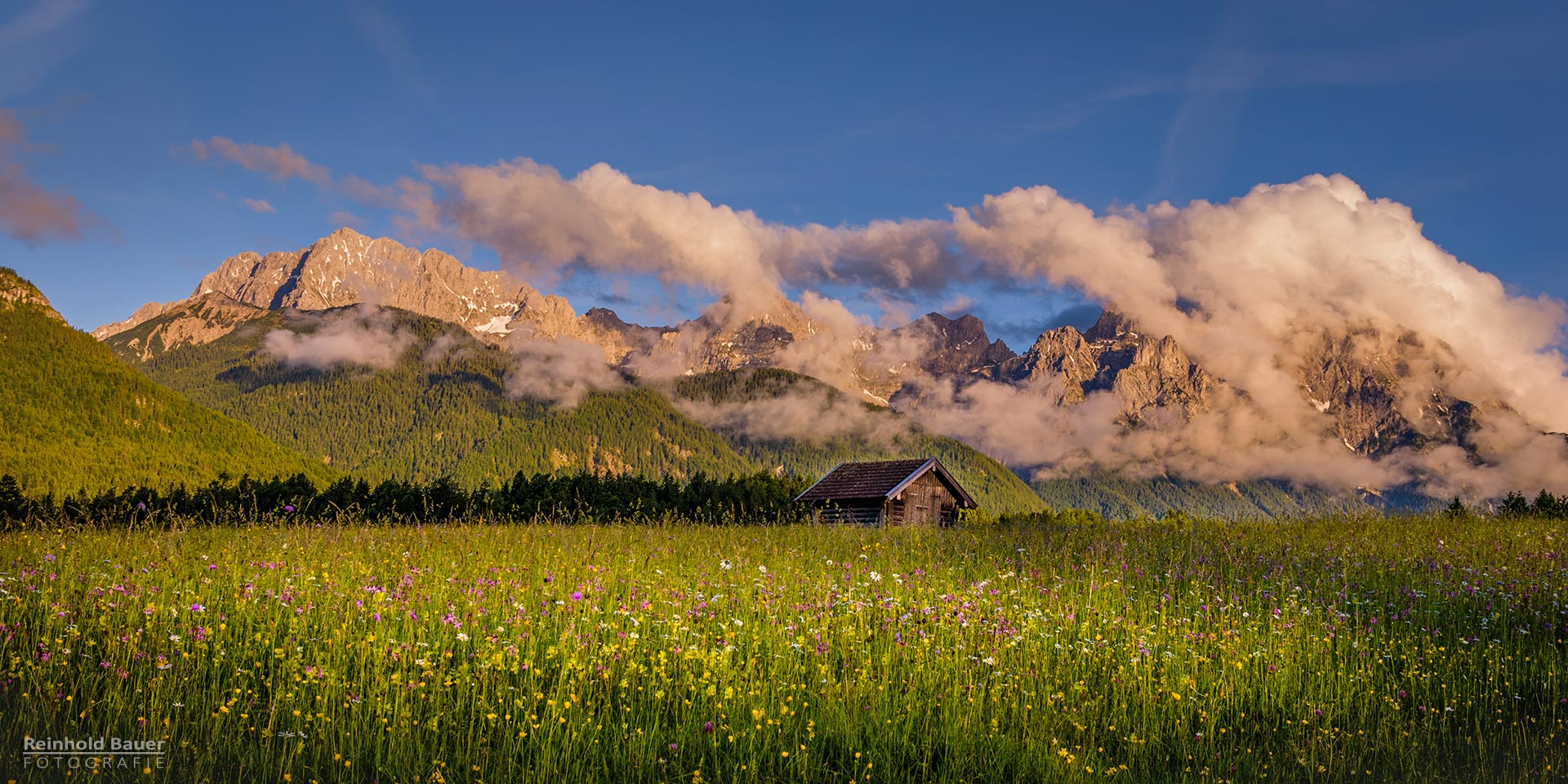 Blick über die blumenreichen Buckelwiesen aufs abendliche Karwendel 