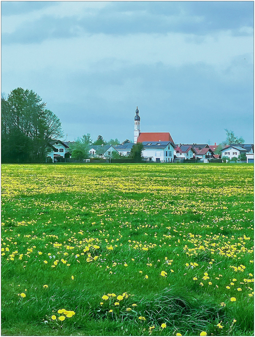 Blick über die Blumenwiesen