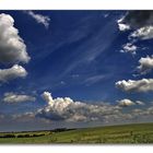 Blick über die Boddenlandschaft....