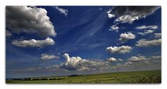 Blick über die Boddenlandschaft....