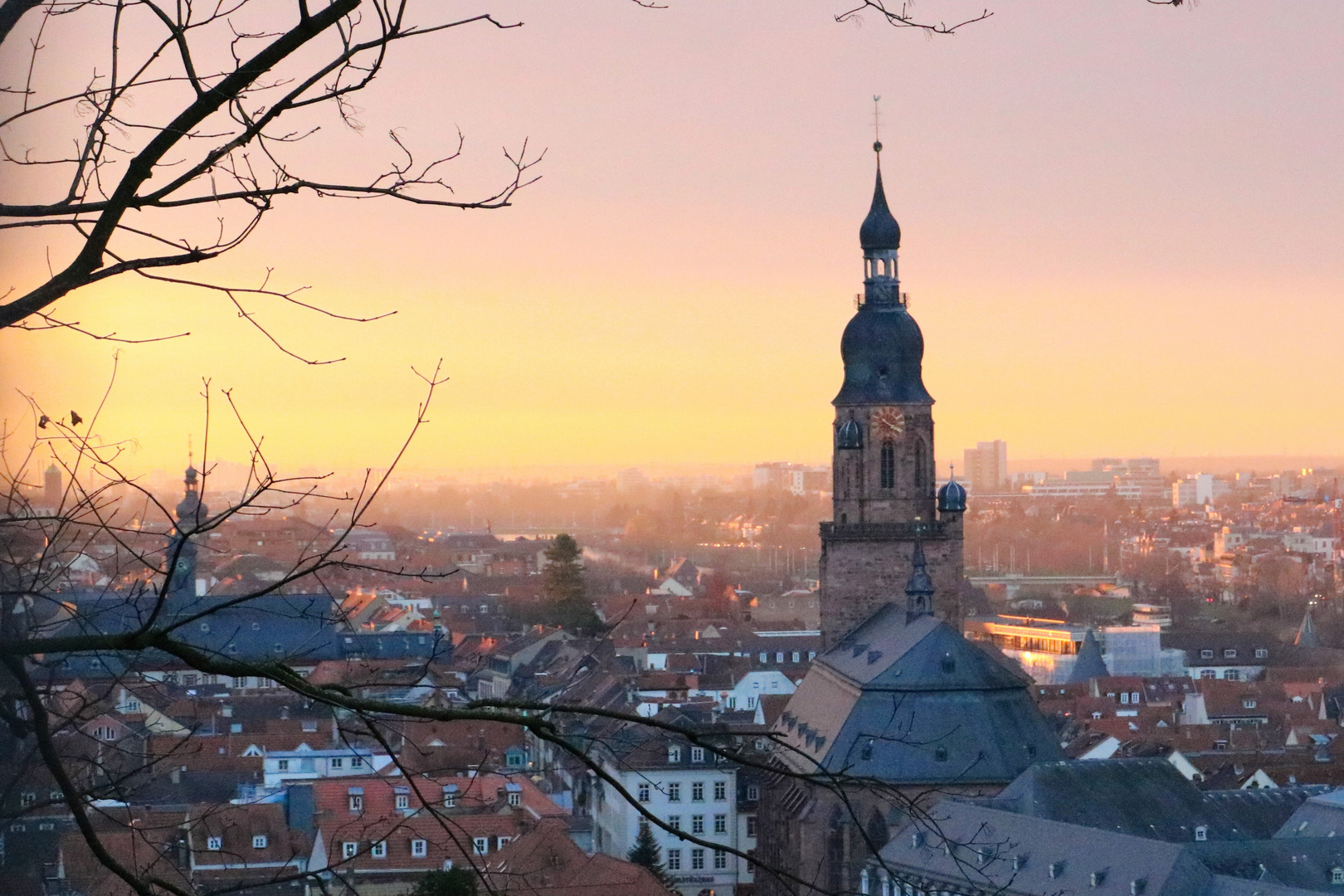 Blick über die Dächer 