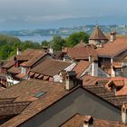 Blick über die Dächer von Murten