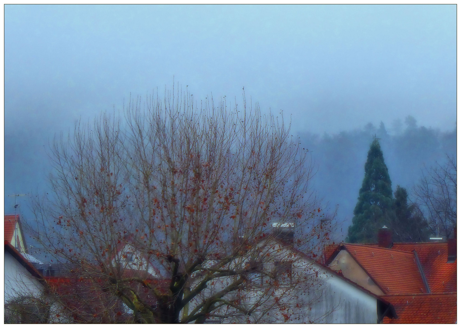 Blick über die Dächer zum Wald