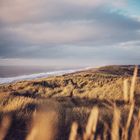 Blick über die dänischen Nordsee-Dünen