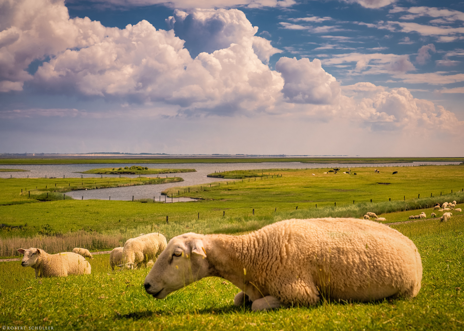 Blick über die deutsche Nordseeküste 