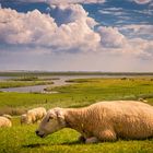 Blick über die deutsche Nordseeküste 