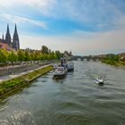 Blick über die Donau zum Dom