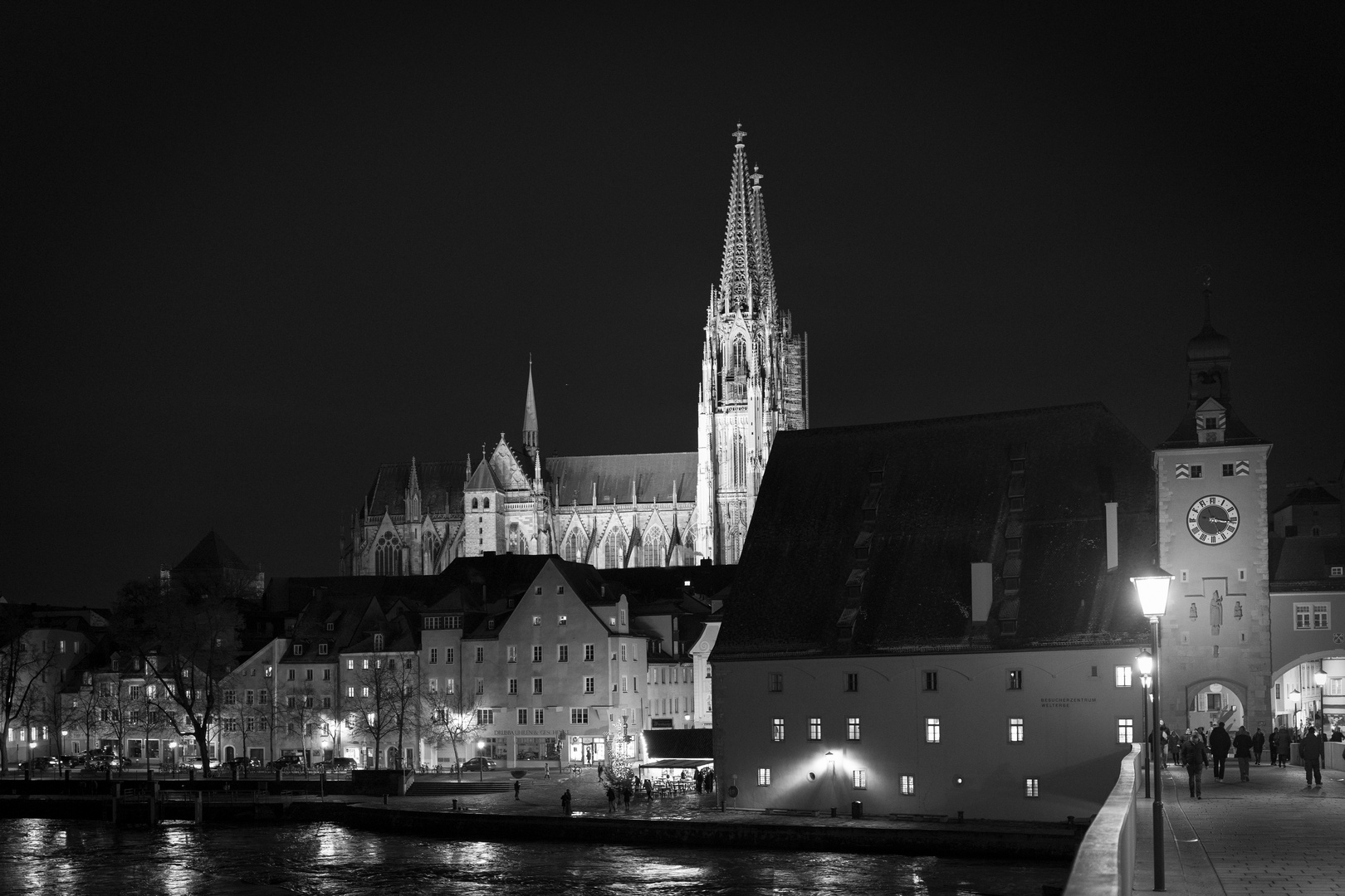 Blick über die Donau zum Regensburger Dom