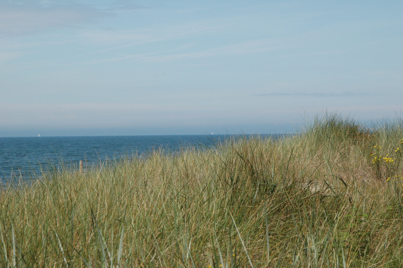 Blick über die Dühnen auf die Ostsee