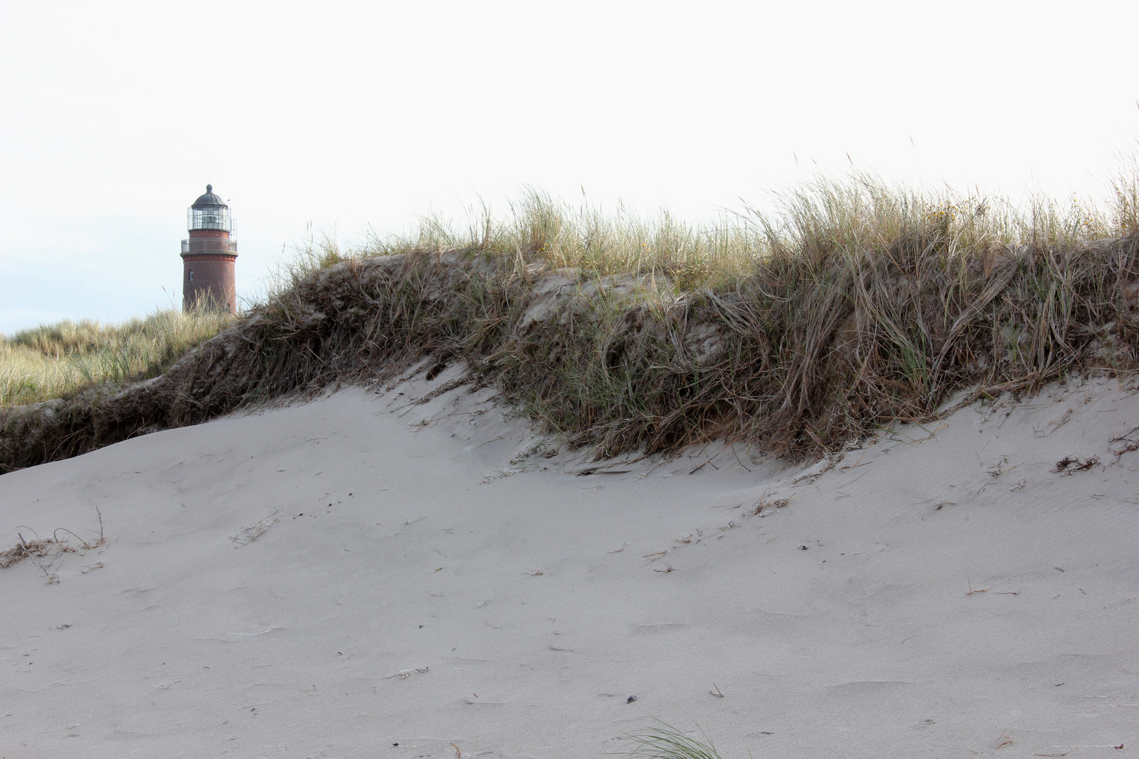 Blick über die Düne