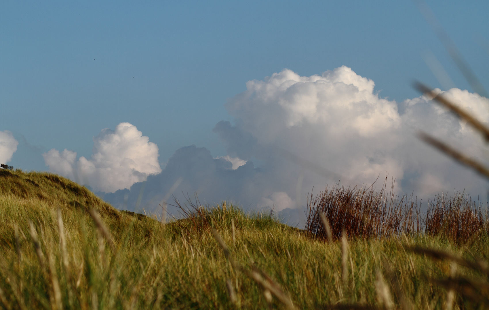 Blick über die Düne