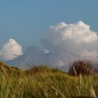 Blick über die Düne