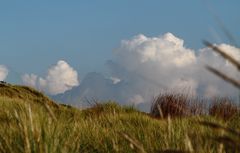 Blick über die Düne