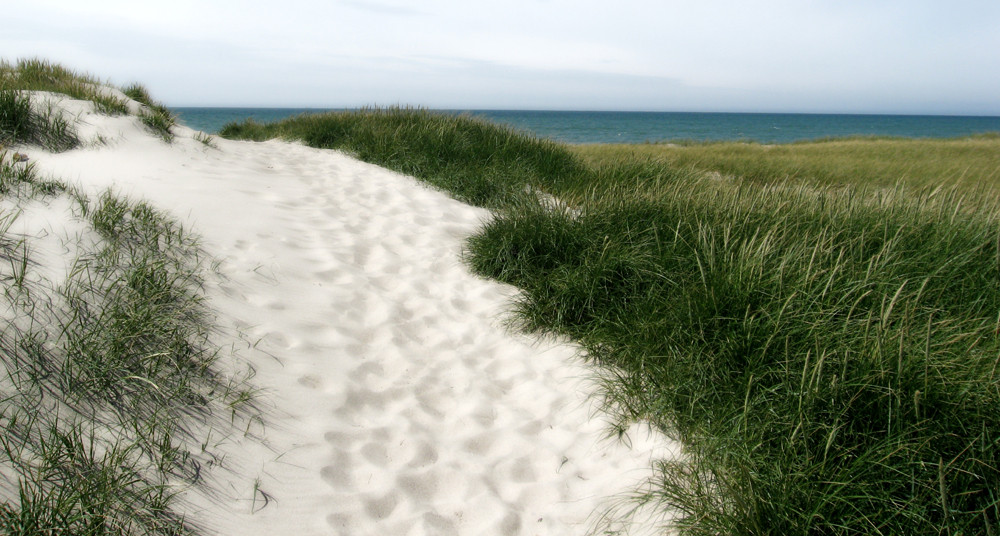 Blick über die Düne